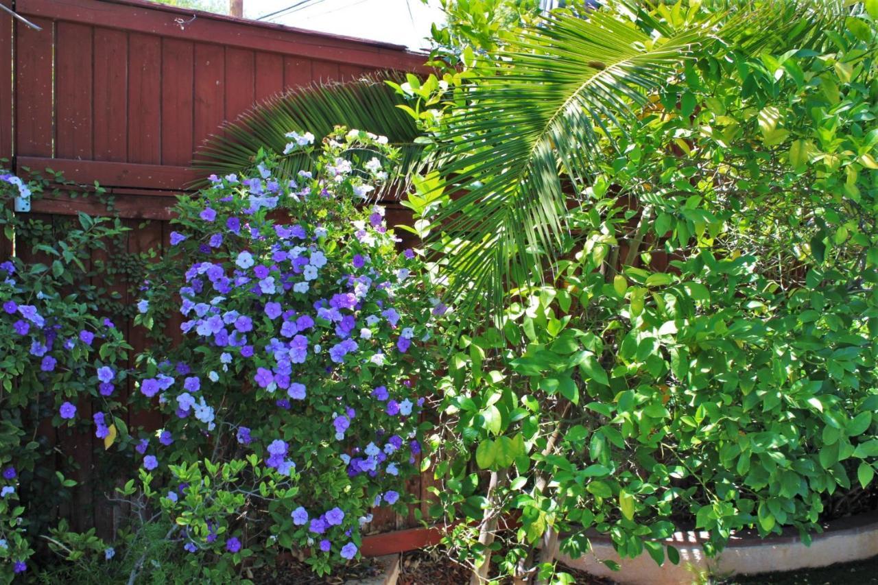 Sweet Dreams B&B La 4* Los Angeles