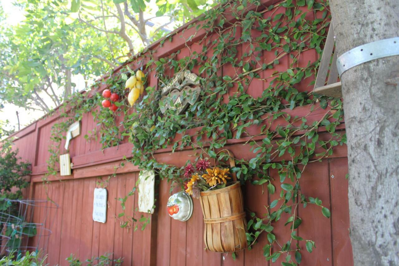 Bed & Breakfast Sweet Dreams B&B La